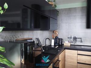 Prodej bytu 3+kk, Teplice, Trnovanská, 75 m2