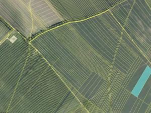 Prodej zemědělské půdy, Moravská Nová Ves, 5276 m2