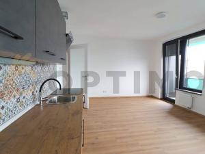 Pronájem bytu 1+kk, Praha - Žižkov, Olgy Havlové, 32 m2