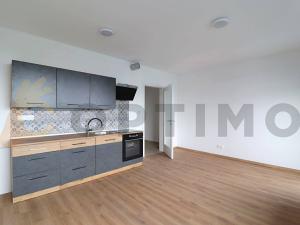 Pronájem bytu 1+kk, Praha - Žižkov, Olgy Havlové, 32 m2