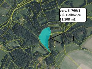 Prodej trvalého travního porostu, Vysoké nad Jizerou, 11108 m2