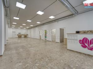 Pronájem obchodního prostoru, Plzeň - Bolevec, Sokolovská, 310 m2