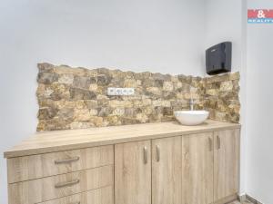 Pronájem obchodního prostoru, Plzeň - Bolevec, Sokolovská, 310 m2