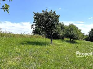 Prodej trvalého travního porostu, Svijanský Újezd, 8064 m2