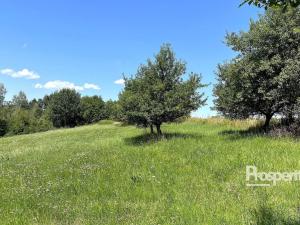 Prodej trvalého travního porostu, Svijanský Újezd, 8064 m2