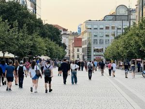 Pronájem obchodního prostoru, Praha - Nové Město, Václavské náměstí, 300 m2