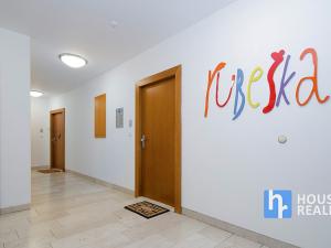 Prodej bytu 1+kk, Praha - Vysočany, Nepilova, 34 m2