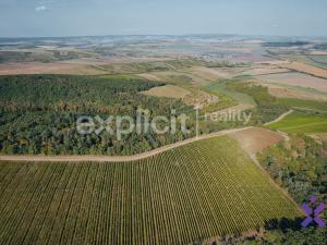 Prodej zemědělské půdy, Kobylí, 3496 m2