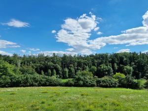 Prodej pozemku pro bydlení, Vyšehořovice, 905 m2