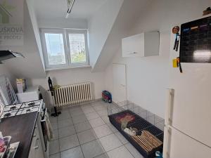 Pronájem bytu 1+1, Frýdek-Místek, U Nemocnice, 39 m2