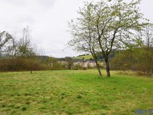 Prodej louky, Ústí nad Labem - Neštěmice, Na Skalce, 3966 m2