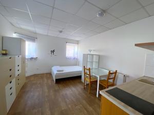 Pronájem bytu 1+kk, Brno, Obřanská, 30 m2