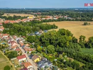 Prodej lesa, Kostelec nad Labem, 10056 m2