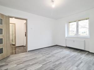 Pronájem bytu 1+1, Teplice, Ruská, 30 m2