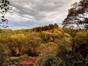 Prodej chaty, Roztoky, Na vyhlídce, 600 m2