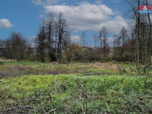 Prodej pozemku pro bydlení, Františkovy Lázně - Žírovice, 1000 m2