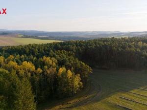 Prodej lesa, Všehrdy, 35057 m2