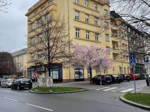 Pronájem bytu 2+kk, Ostrava, Prokešovo náměstí, 97 m2