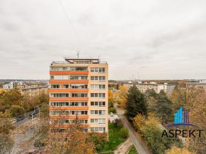 Pronájem bytu 2+kk, Praha - Žižkov, Hartigova, 43 m2