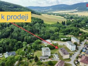 Prodej bytu 2+1, Červená Voda, 55 m2