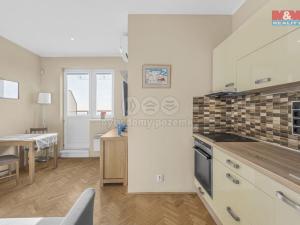 Prodej bytu 1+kk, Praha - Vinohrady, Sobotecká, 38 m2