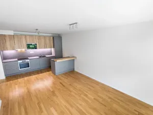 Prodej bytu 3+kk, Praha - Žižkov, Seifertova, 70 m2