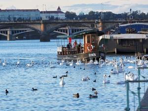 Prodej bytu 2+kk, Praha - Nusle, Bělehradská, 64 m2