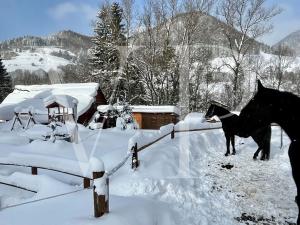 Prodej rodinného domu, Zázrivá, Slovensko, 400 m2