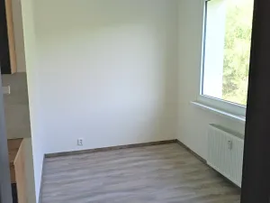 Pronájem bytu 3+1, Děčín, Na Vyhlídce, 65 m2