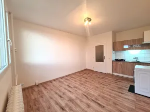 Pronájem bytu 1+kk, Brno, Halasovo náměstí, 26 m2