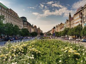 Prodej restaurace, Praha - Nové Město, Legerova, 655 m2