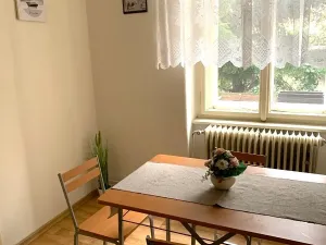 Pronájem apartmánu, Plzeň, Klostermannova, 70 m2