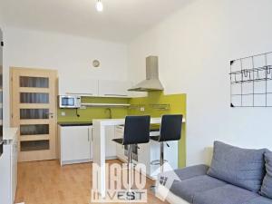 Pronájem bytu 2+kk, Praha - Nusle, Doudlebská, 47 m2