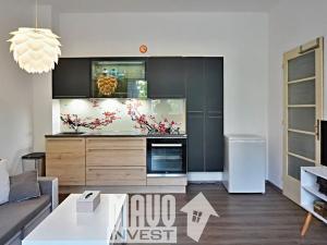 Pronájem bytu 1+kk, Praha - Nusle, Doudlebská, 28 m2