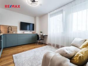 Pronájem bytu 1+kk, Praha - Vinohrady, Perucká, 28 m2