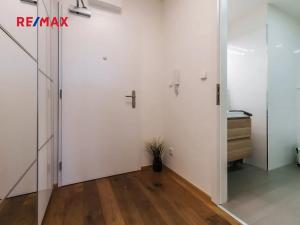 Pronájem bytu 1+kk, Praha - Vinohrady, Perucká, 28 m2