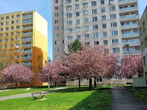 Prodej bytu 3+1, Beroun, Tovární, 73 m2