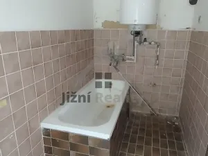 Prodej rodinného domu, Nečtiny, 300 m2