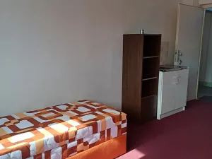 Pronájem bytu 1+kk, Ostrava, Bohumínská, 19 m2