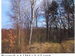 Prodej lesa, Jablonné v Podještědí, 20011 m2