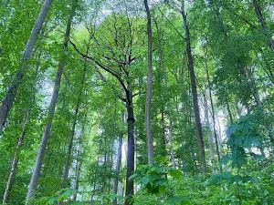 Prodej chaty, Mladeč, 35 m2