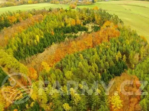 Prodej lesa, Krásná Hora nad Vltavou, 1087255 m2