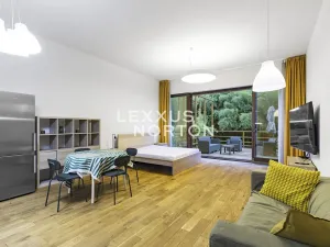 Pronájem bytu 1+kk, Praha - Bubeneč, Mlýnská, 53 m2