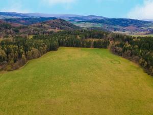 Prodej pole, Budětice, 104753 m2