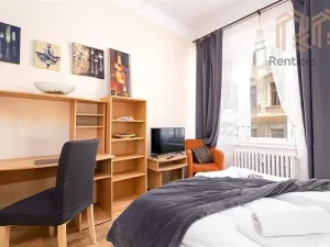 Pronájem bytu 1+kk, Praha - Nové Město, Ve Smečkách, 23 m2