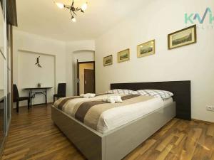 Prodej apartmánu, Karlovy Vary, K. Čapka, 593 m2