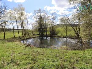 Prodej rodinného domu, Toužim, 810 m2