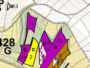 Dražba lesa, Pernštejnské Jestřabí, 4172 m2