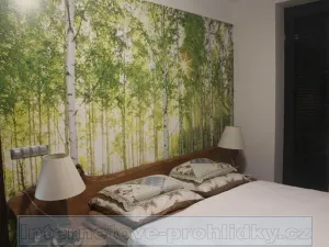 Pronájem bytu 3+kk, Praha - Nusle, K sídlišti, 102 m2