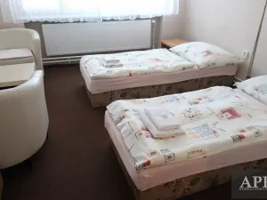 Pronájem bytu 1+kk, Uherský Brod, Mariánské nám., 20 m2